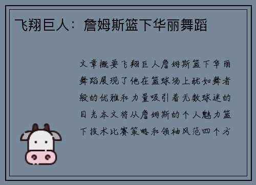 飞翔巨人：詹姆斯篮下华丽舞蹈